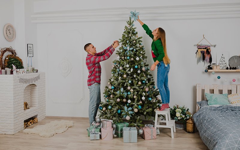 As per Vaastu, keep the Christmas tree at home IMG