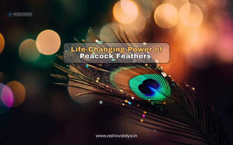 Life-Changing Power of Peacock Feathers | ASTROVAIDYA